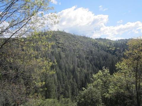 1861 Swansboro Rd, Placerville, CA 95667 photo 16