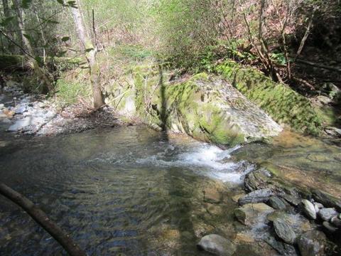 1861 Swansboro Rd, Placerville, CA 95667 photo 25