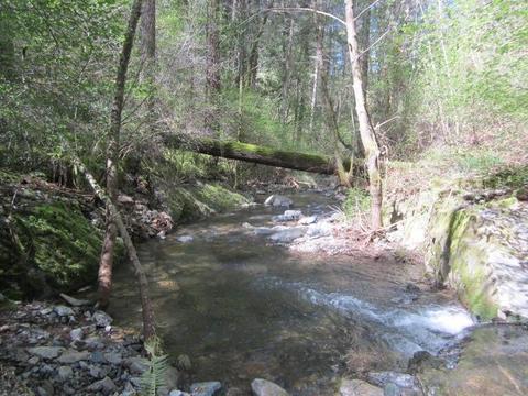1861 Swansboro Rd, Placerville, CA 95667 photo 29
