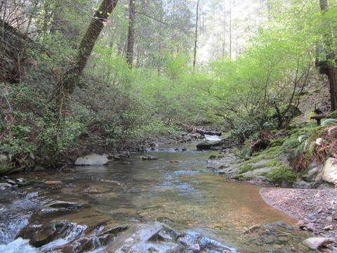 1861 Swansboro Rd, Placerville, CA 95667 photo 27