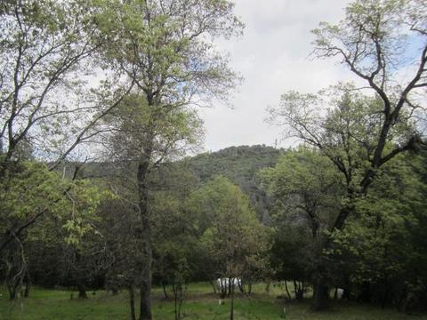 1861 Swansboro Rd, Placerville, CA 95667 photo 33