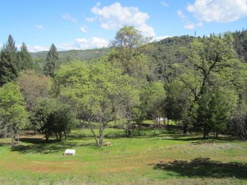 1861 Swansboro Rd, Placerville, CA 95667 photo 6