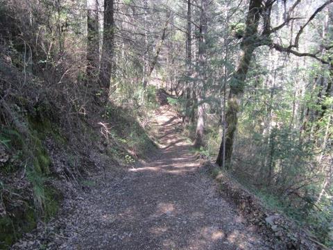 1861 Swansboro Rd, Placerville, CA 95667 photo 17