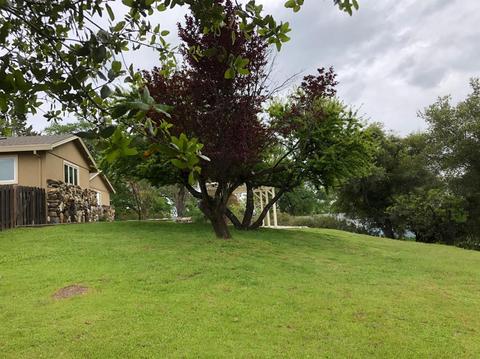 3081 Briw Rdg, Placerville, CA 95667 photo 18