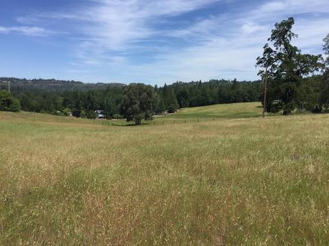 4050 Blackhawk Ln, Placerville, CA 95667 photo 13