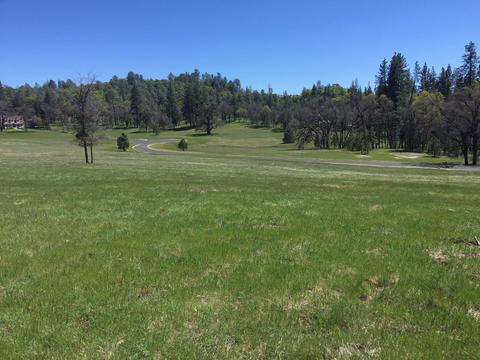 4050 Blackhawk Ln, Placerville, CA 95667 photo 9