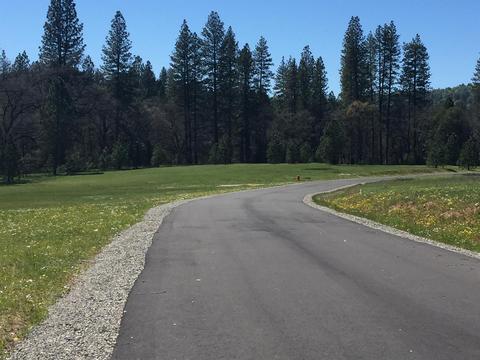 4050 Blackhawk Ln, Placerville, CA 95667 photo 25
