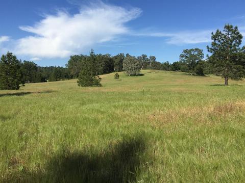 4050 Blackhawk Ln, Placerville, CA 95667 photo 23