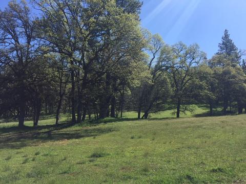 4050 Blackhawk Ln, Placerville, CA 95667 photo 8