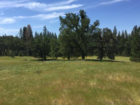 4050 Blackhawk Ln, Placerville, CA 95667 photo 17