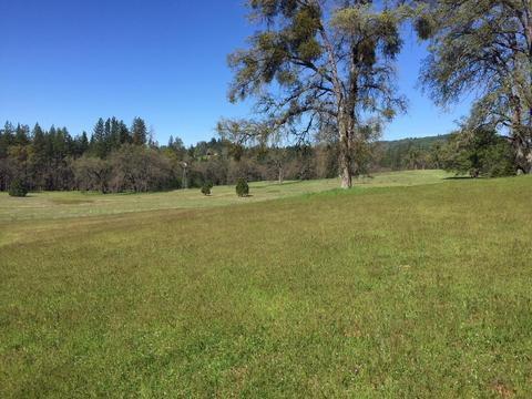 4050 Blackhawk Ln, Placerville, CA 95667 photo 3