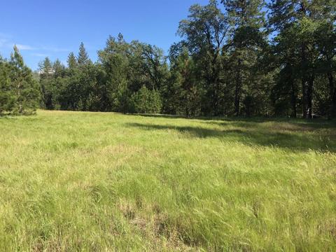 4050 Blackhawk Ln, Placerville, CA 95667 photo 11