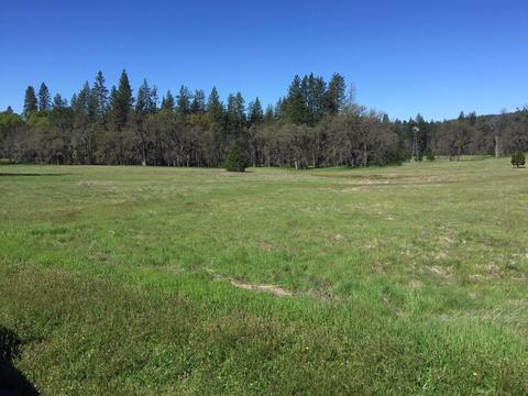 4050 Blackhawk Ln, Placerville, CA 95667 photo 15
