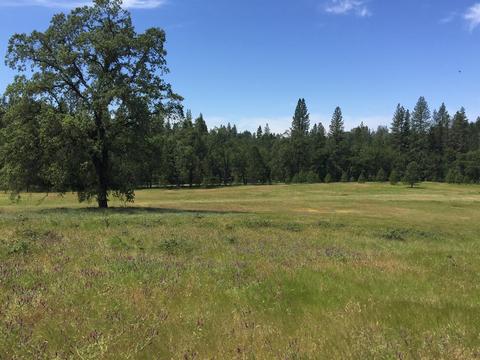 4050 Blackhawk Ln, Placerville, CA 95667 photo 18