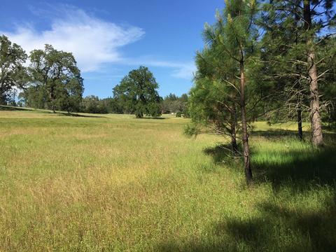 4050 Blackhawk Ln, Placerville, CA 95667 photo 14