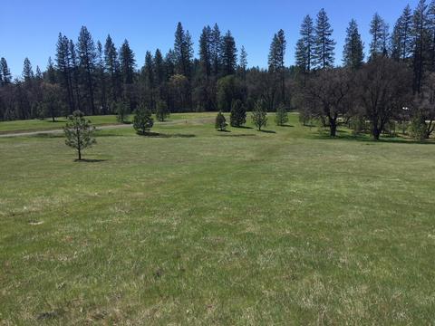 4050 Blackhawk Ln, Placerville, CA 95667 photo 5