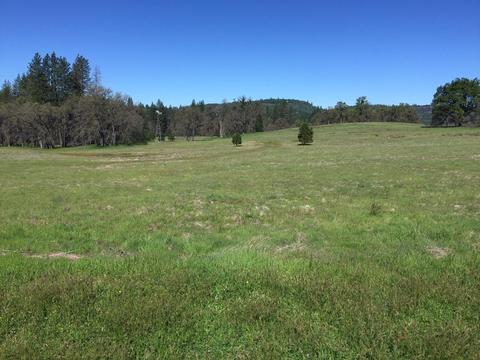 4050 Blackhawk Ln, Placerville, CA 95667 photo 19