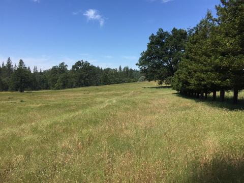 4050 Blackhawk Ln, Placerville, CA 95667 photo 21