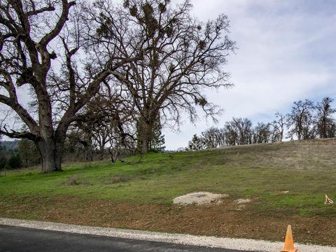 4050 Blackhawk Ln, Placerville, CA 95667 photo 24