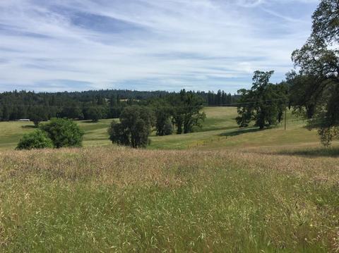 4050 Blackhawk Ln, Placerville, CA 95667 photo 20