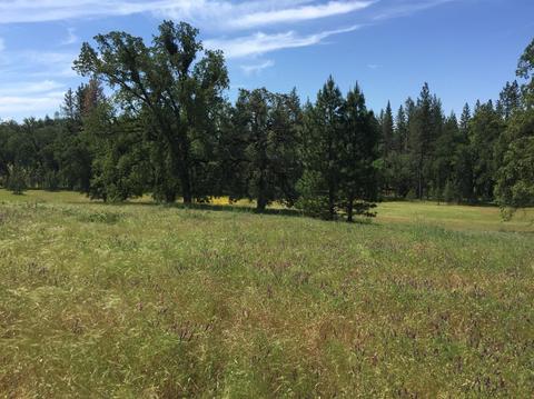 4050 Blackhawk Ln, Placerville, CA 95667 photo 12