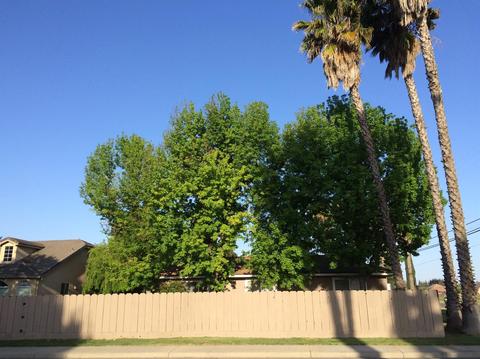 2724 E Tuolumne Rd, Turlock, CA 95382 photo 19