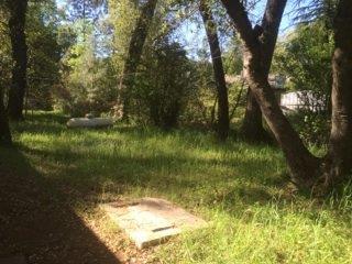 812 Algiers St, Murphys, CA 95247 photo 4