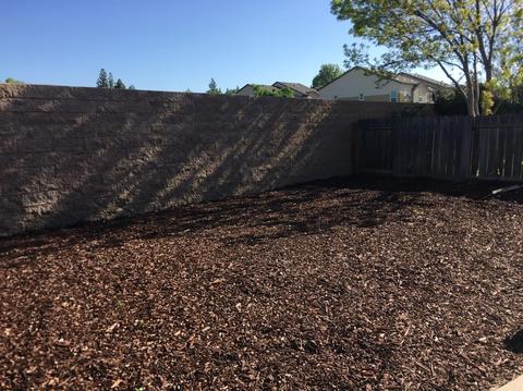 825 Cole Ave, Turlock, CA 95382 photo 15