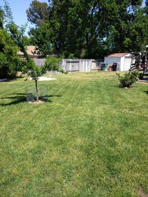5421 Angelina Ave, Carmichael, CA 95608 photo 13