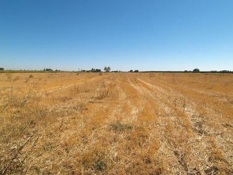 1742 Orange Ave, Patterson, CA 95363 photo 30