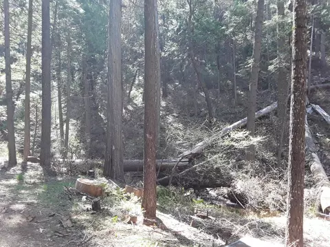 1569 Moran Rd, Arnold, CA 95223 photo 4