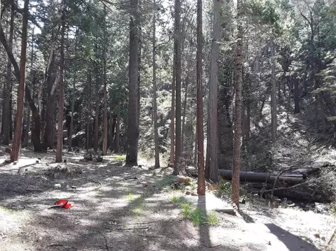 1569 Moran Rd, Arnold, CA 95223 photo 1