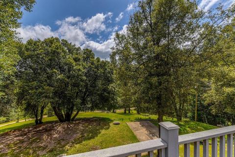 19600 Clinton Rd, Jackson, CA 95642 photo 32