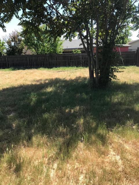 16145 Cambridge Dr, Lathrop, CA 95330 photo 11