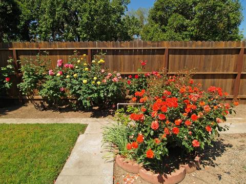 1901 Enslen Ave, Modesto, CA 95350 photo 27