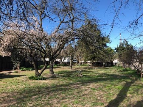 5724 Meyer Dr, Modesto, CA 95356 photo 20