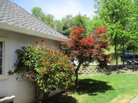 1370 Golf Way, Placerville, CA 95667 photo 7