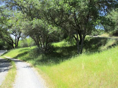 1370 Golf Way, Placerville, CA 95667 photo 29