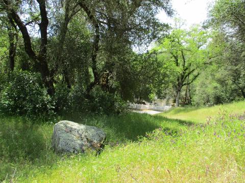 1370 Golf Way, Placerville, CA 95667 photo 35