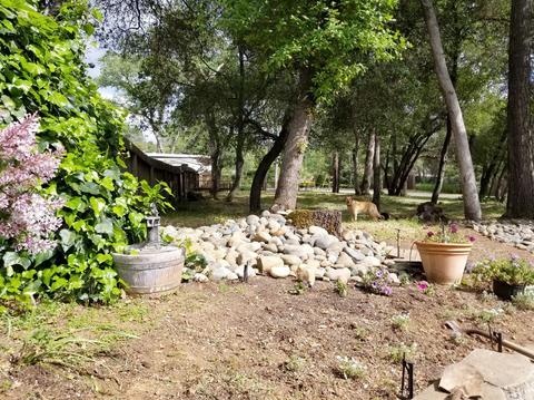 4101 Chestnut Ln, Placerville, CA 95667 photo 14