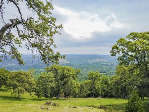 1400 Mckee Dr, Placerville, CA 95667 photo 35