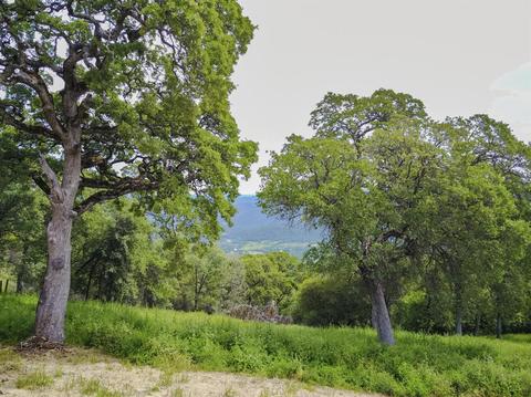 1400 Mckee Dr, Placerville, CA 95667 photo 32