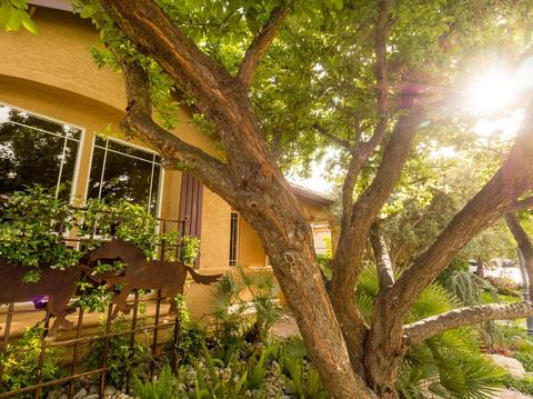 1828 White Sands Ln, Davis, CA 95616 photo 4