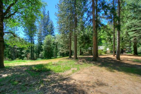 145 Alpine Dr, Colfax, CA 95713 photo 29
