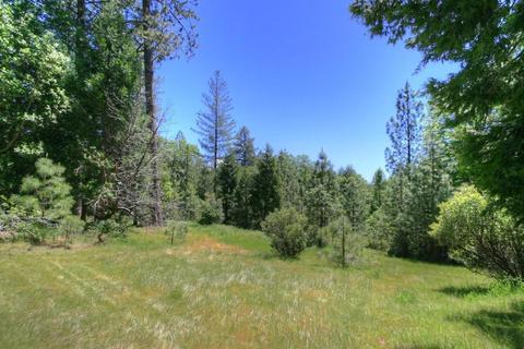 145 Alpine Dr, Colfax, CA 95713 photo 27