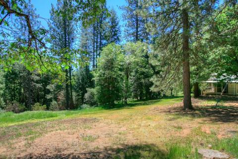 145 Alpine Dr, Colfax, CA 95713 photo 28