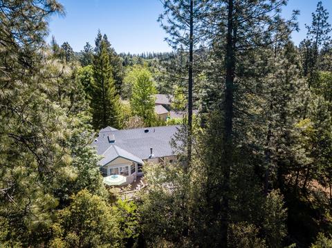 13575 Norma Ct, Pine Grove, CA 95665 photo 22