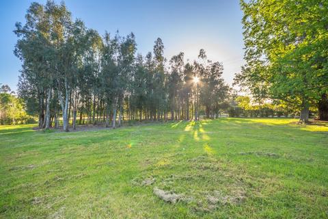 8659 Dillard Rd, Wilton, CA 95693 photo 32