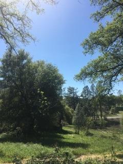 9762 Hwy 193, Placerville, CA 95667 photo 25