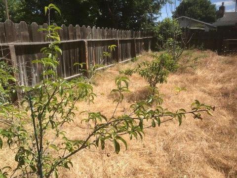 1890 E Marshall St, Turlock, CA 95380 photo 14